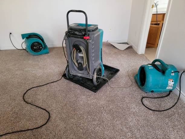 Best Commercial water damage restoration  in Jeannette, PA