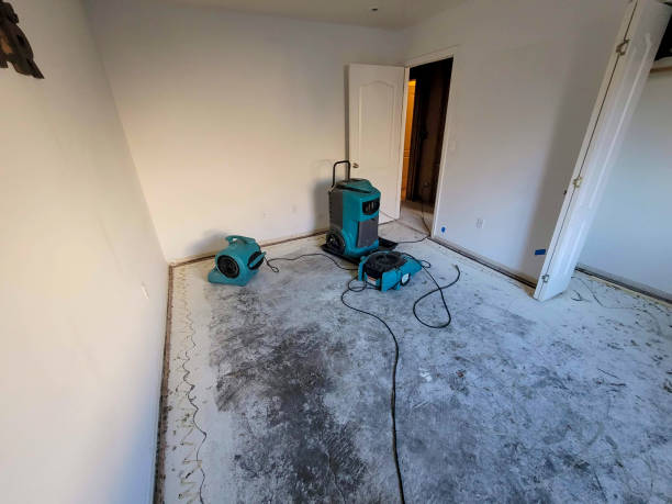Best Water damage restoration services  in Jeannette, PA