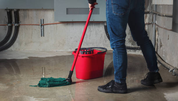 Best Flood damage cleanup  in Jeannette, PA