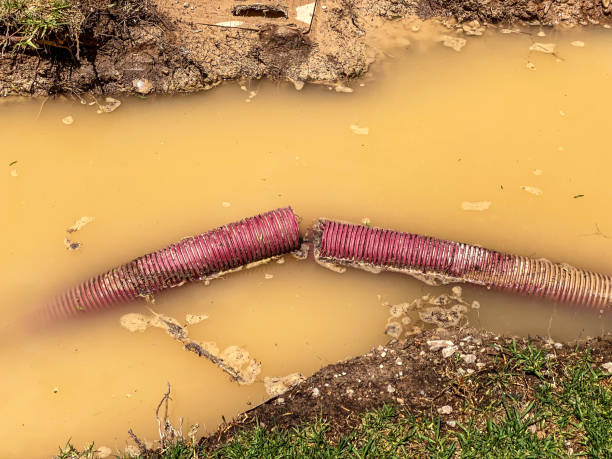 Professional Water damage restoration in Jeannette, PA