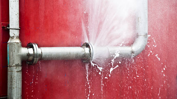 Best Flood restoration services  in Jeannette, PA